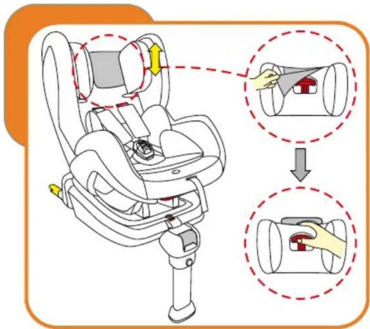 Baninni BN3501 Impero Isofix - Einstellen der Kopfstütze und der Schulterriemenhöhe - 1