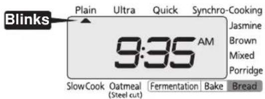 Tiger JKTS10U - Check the present time. - 1