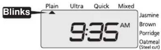Tiger JKTB18U - Check the present time. - 1
