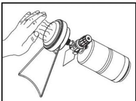 COLEMAN SurvivalCat - To Light cont - 2