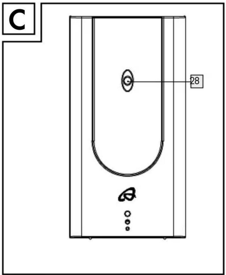 C 28