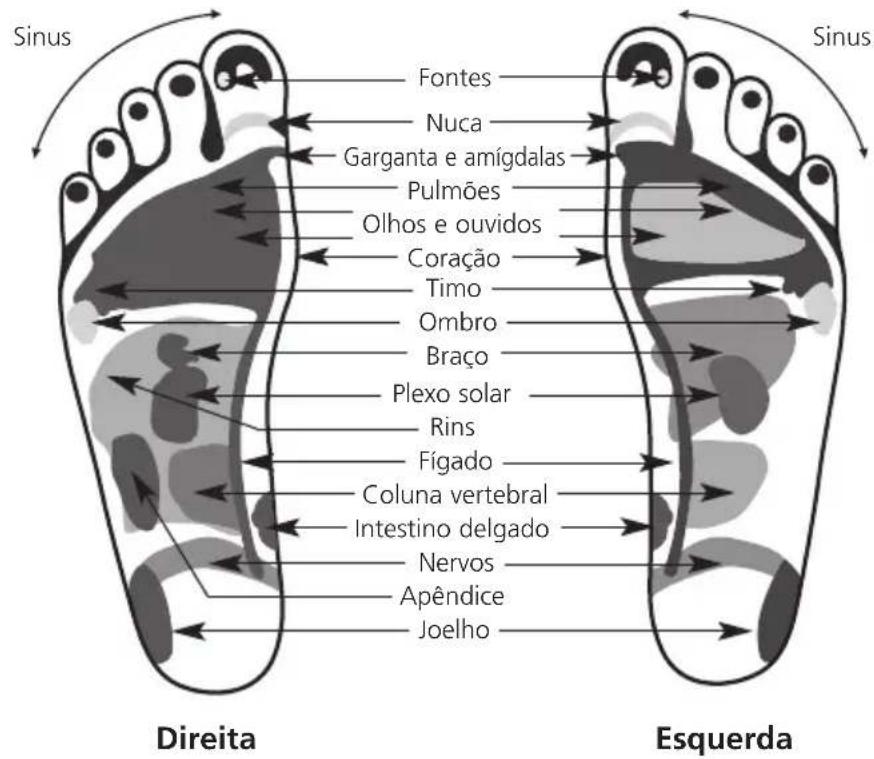 MEDISANA FRI - NOTAS IMPORTANTES!   GUARDAR SEM FALTA! - 1