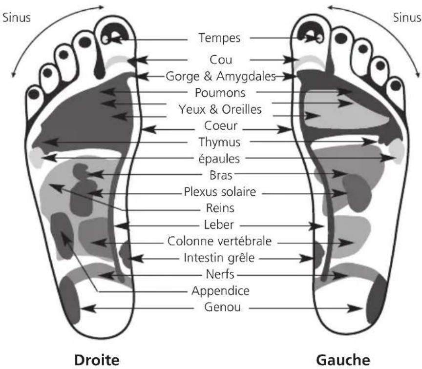 MEDISANA FRI - Massage des zones réflexe - 1