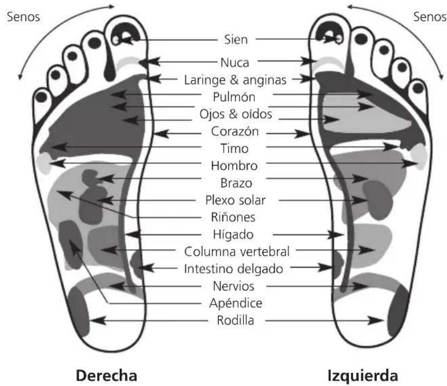MEDISANA FRI - Masaje de los+puntos reflejos - 1