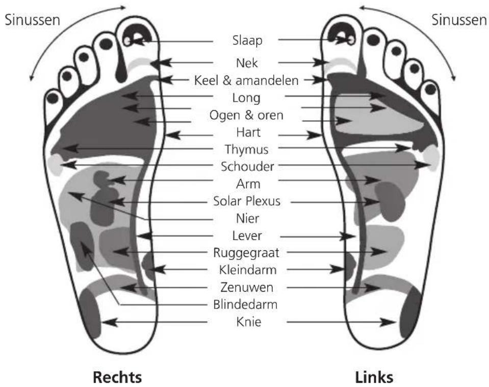 MEDISANA FRI - Reflexzonemassage - 1