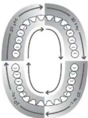 Waterpik Sensonic Professional Plus SR3000 - Pulizia dentale con Tecnologia sonica - 2