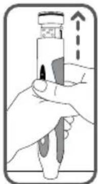 Waterpik Sensonic Professional Plus SR3000 - Note: This process is not reversible - 3