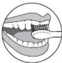 Waterpik Sensonic Professional Plus SR3000 - - Kwadranttimer: - 2