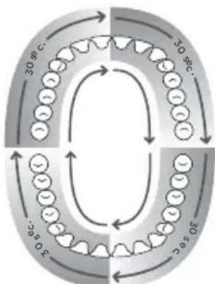 Waterpik Sensonic Professional Plus SR3000 - Brossage aux ultrasons - 2