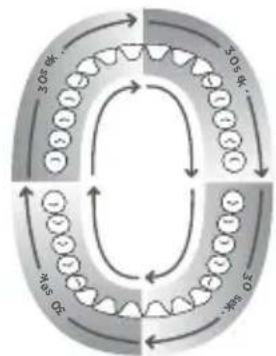 Waterpik Sensonic Professional Plus SR3000 - Schallaktives Zähneputzen - 1