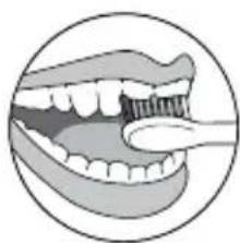 Waterpik Sensonic Professional Plus SR3000 - Schallaktives Zähneputzen - 3