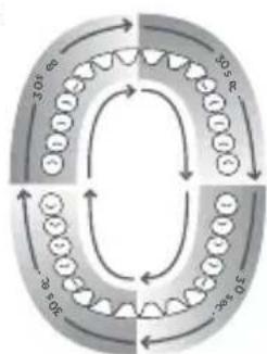 Waterpik Sensonic Professional Plus SR3000 - Sonic brushing - 3