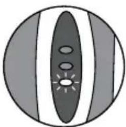 Waterpik Sensonic Professional Plus SR3000 - Indicatori di ricarica - 2