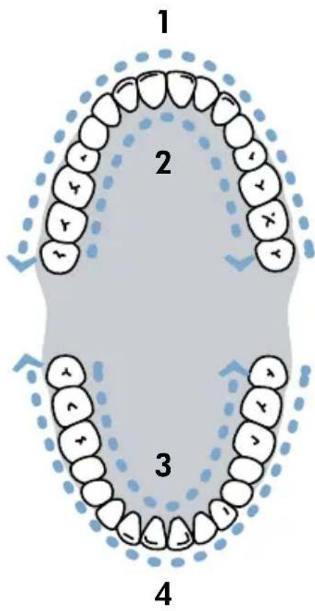 Waterpik Sensonic SR1000 - Sonic brushing - 2