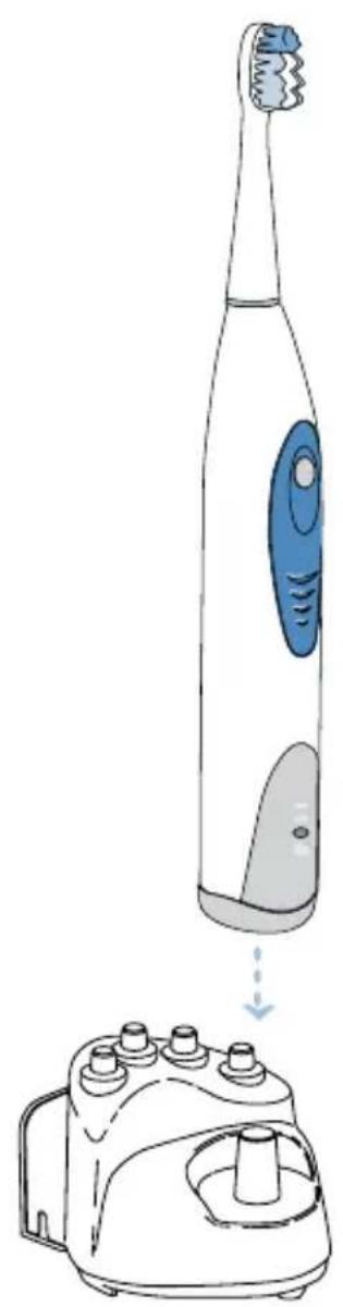 Waterpik Sensonic SR1000 - 3apka SntkN Sensonic. Npep nepBbIM nCNoIb3OBAHnEM NOCTaBbTe 1eTKy Ha noD3apAky Ha 16 yacob. - 1