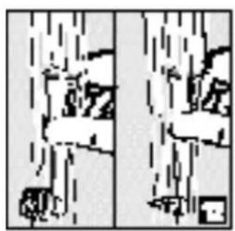 CALOR Dentacontrol Duo Combine 6957 - 13