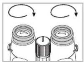 Swarovski SLC 8x56 - Adjustment of the screw-in-type eye cups - 3