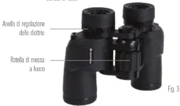 CELESTRON Cypress - IMPOSTAZIONE DELLA DIOTTRIA / MESSA A FUOCO - 1