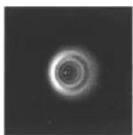 CELESTRON Cometron - Allineamento dello specchio secondario - 5
