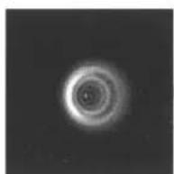 CELESTRON Cometron - Alineación del espejo secundario - 5