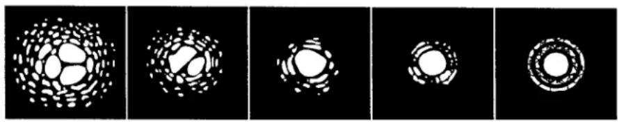 CELESTRON Cometron - Visión - 1