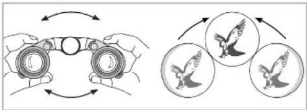 Swarovski CL Pocket 8x25 - Adjustment of interpupillary distance - 1