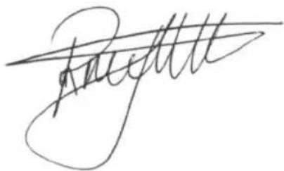 BESTRON AHD200W - MAINTENANCE - 1