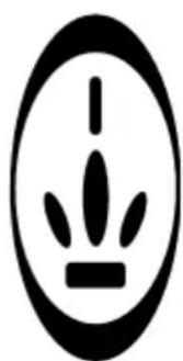 PRINCESS Super 180726 - QUANTIDADE MAXIMA DO PRODUCTO - 1