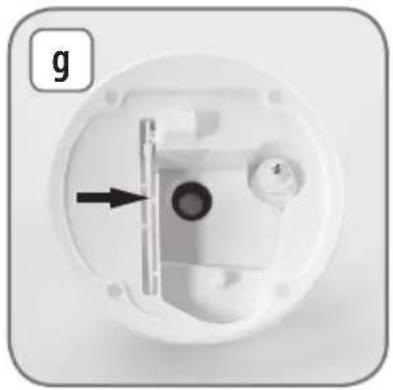 LANAFORM Pure - 10