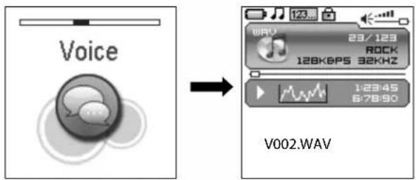 CURTIS MPK1066 - Enregistrement vocal - 2