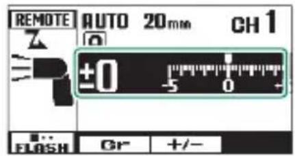 FUJIFILM EFX500 - Correction/intensité du flash - 3