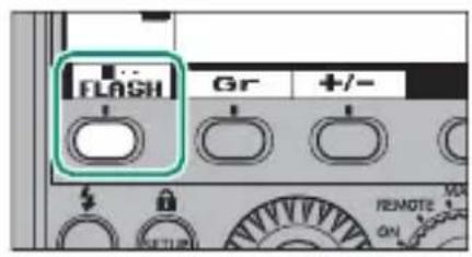 FUJIFILM EFX500 - Correction/intensité du flash - 1
