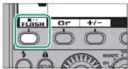 FUJIFILM EFX500 - Intensité du flash - 1