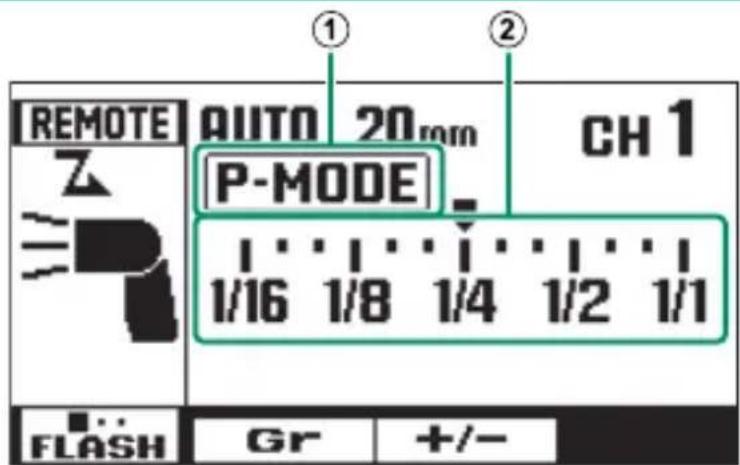 FUJIFILM EFX500 - Mode flash asservi (Pet N) - 2