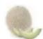 KUVINGS ULC121NB - N'INTRODUISEZ PAS les alimentés suivants dans l'extracteur de jus : - 3