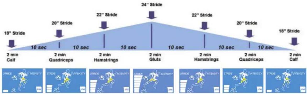 Life Fitness E5 - FONCTION DU MODE LEG SCULPTOR - 1