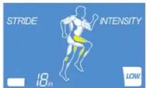 Life Fitness E5 - AFFICHAGE DES INFORMATIONS DE LA ZONE D'ACTIVITÉS - 1