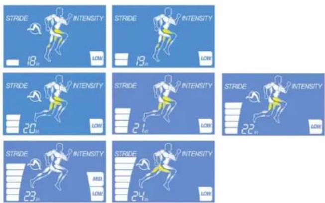 Life Fitness E3 - AFFICHAGE DES INFORMATIONS - 1