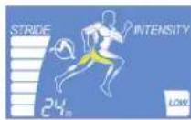 Life Fitness E1 - AFFICHAGE DES INFORMATIONS - 7