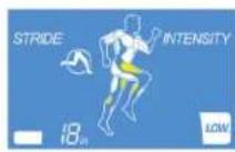 Life Fitness E1 - AFFICHAGE DES INFORMATIONS - 1