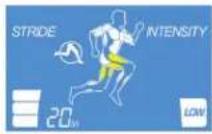 Life Fitness E1 - AFFICHAGE DES INFORMATIONS - 3