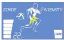 Life Fitness E1 - AFFICHAGE DES INFORMATIONS - 5