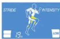 Life Fitness E1 - AFFICHAGE DES INFORMATIONS - 2