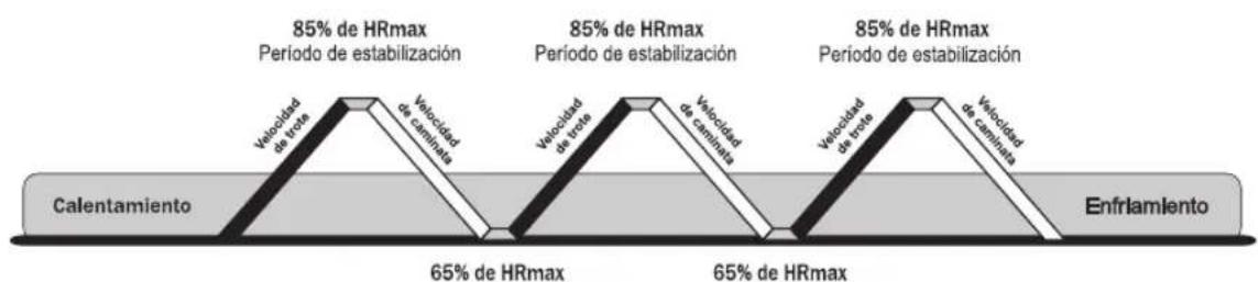 Life Fitness 95CI - EXTREME HEART RATE™ - 1