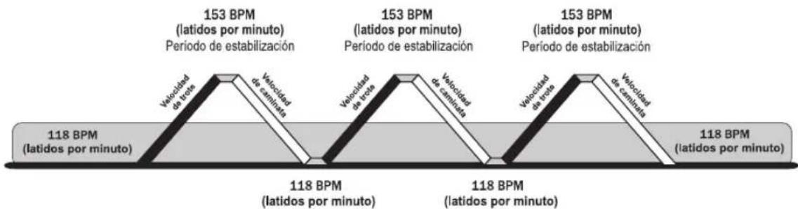 Life Fitness 95CI - EXTREME HEART RATE™ - 2
