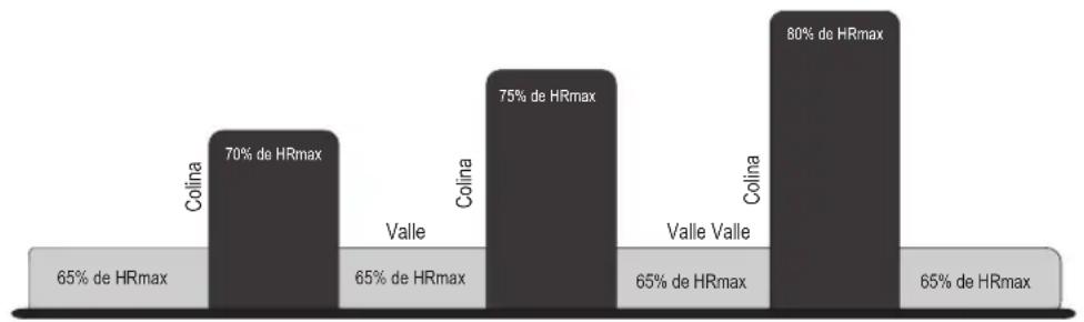 Life Fitness 95CI - HEART RATE HILL ^TM - 1