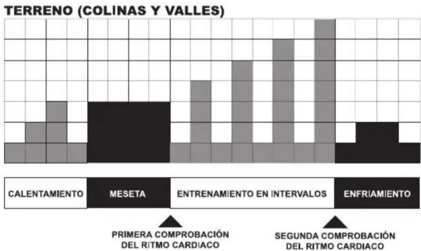 Life Fitness 95CI - COLINA - 1