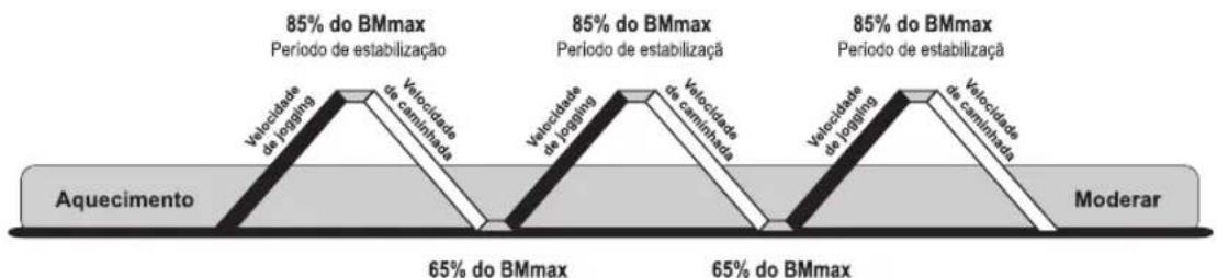 Life Fitness 95CI - PULSO EXTREMO EXTREME HEART RATE™ - 1