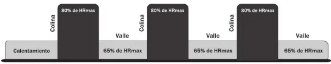 Life Fitness 95CI - HEART RATE INTERVAL ™ - 1