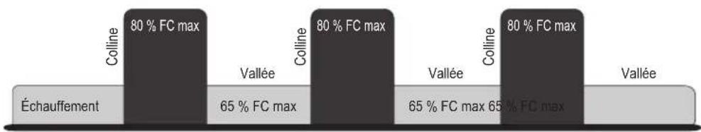 Life Fitness 90C - HEART RATE INTERVAL™ (INTERVALLE / FREQUENCY CARDIAQUE) (93C UNIQUEMENT) - 1